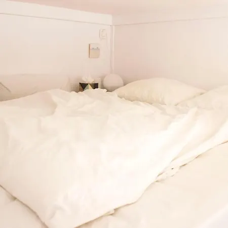 Apartment Beautiful And Bright Apt In Belleville